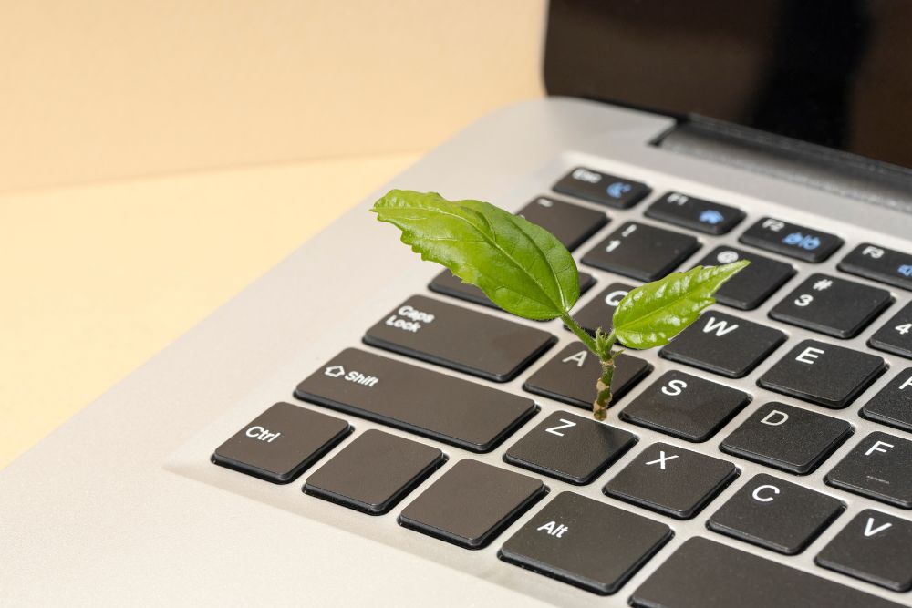 e-commerce sustentável Close-up de uma pequena planta com folhas verdes brotando do teclado de um notebook, uma metáfora visual para o conceito de e-commerce sustentável.